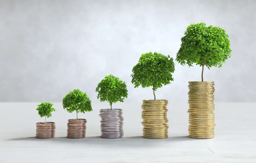 revenue based funding