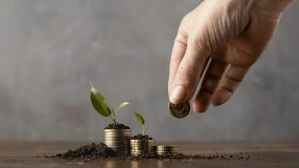 Revenue-Based Funding